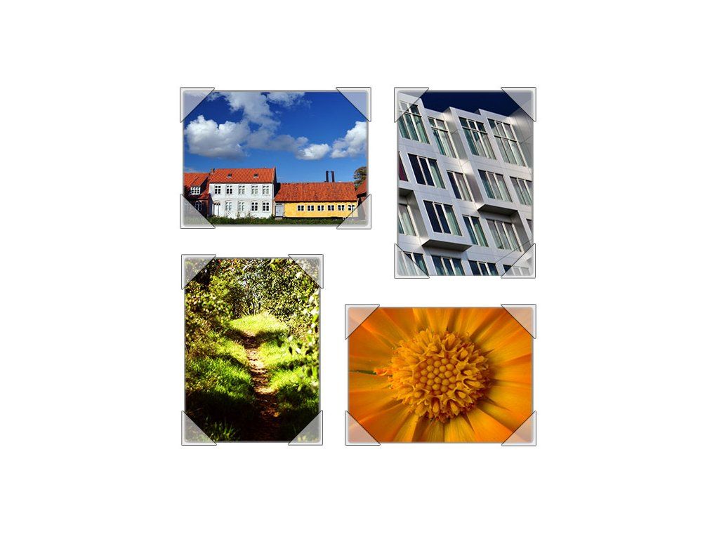 Fotorůžky na fotografie